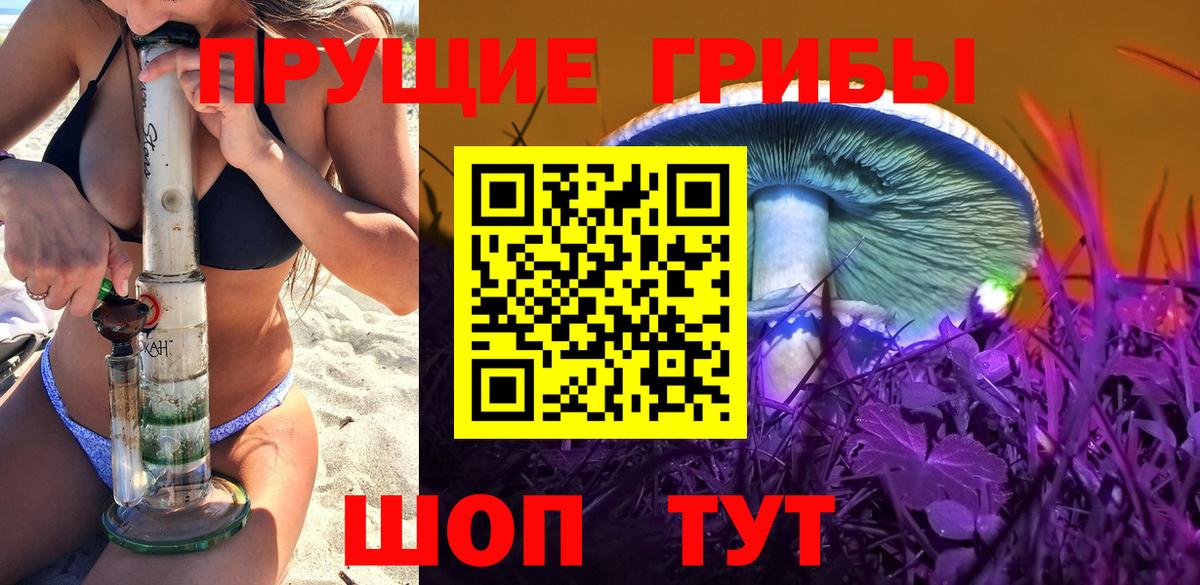 Галлюциногенные грибы MAGIC MUSHROOMS  Галлюциногенные грибы GOLDEN TEACHER  Кизляр  Вход с VPN 